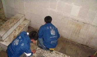 番禺區廠房屋面防水補漏，專業公司是保障生產的明智選擇